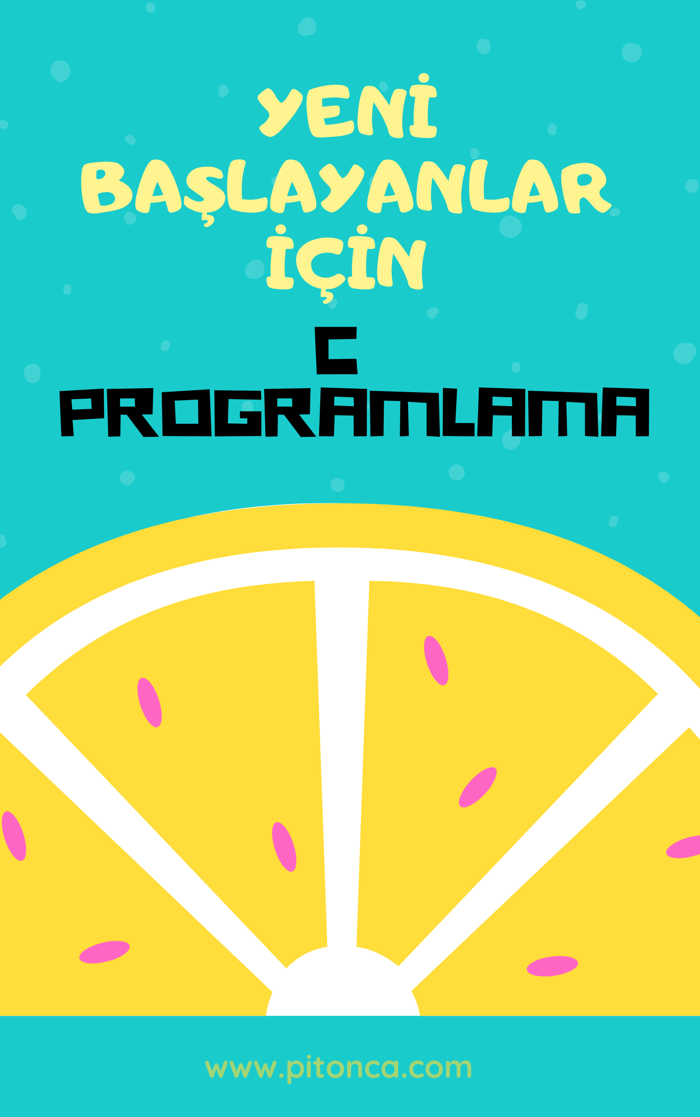 Python ile Yazılımsal Robotik